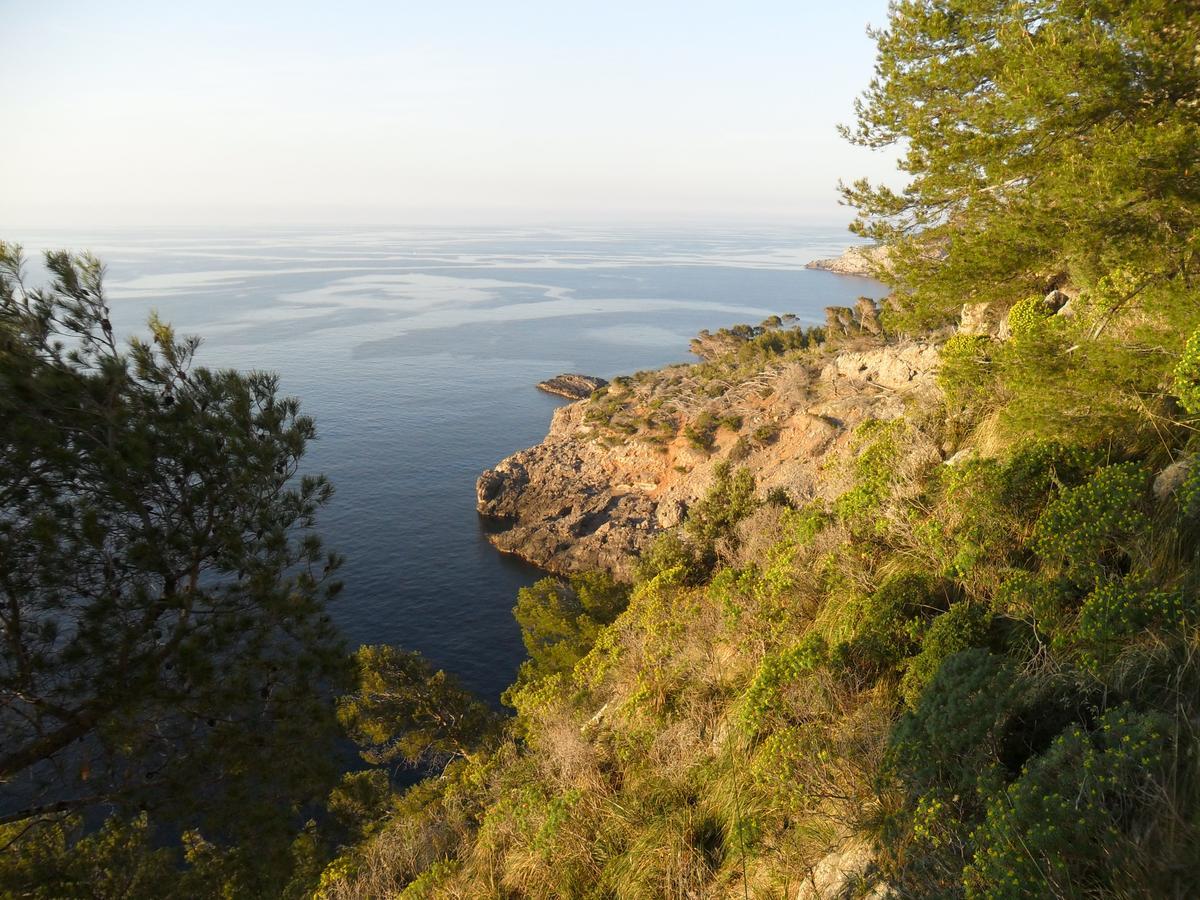 Sol Port Soller Hotel Puerto de Sóller Екстериор снимка